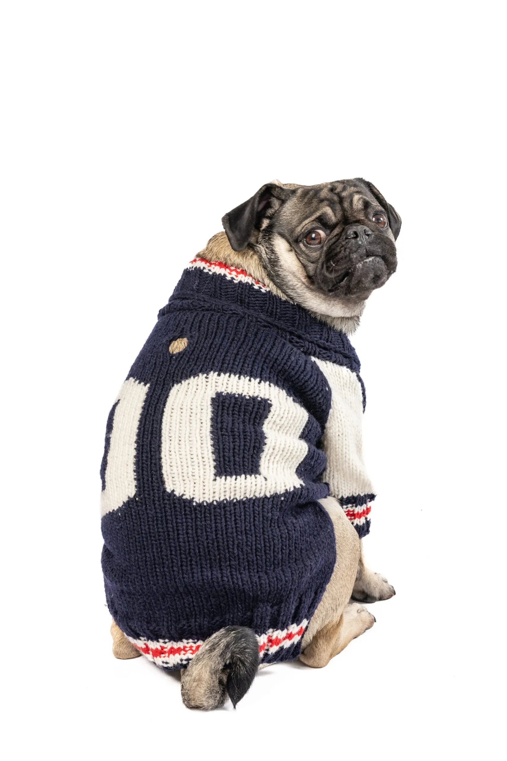 varsity knit sweater