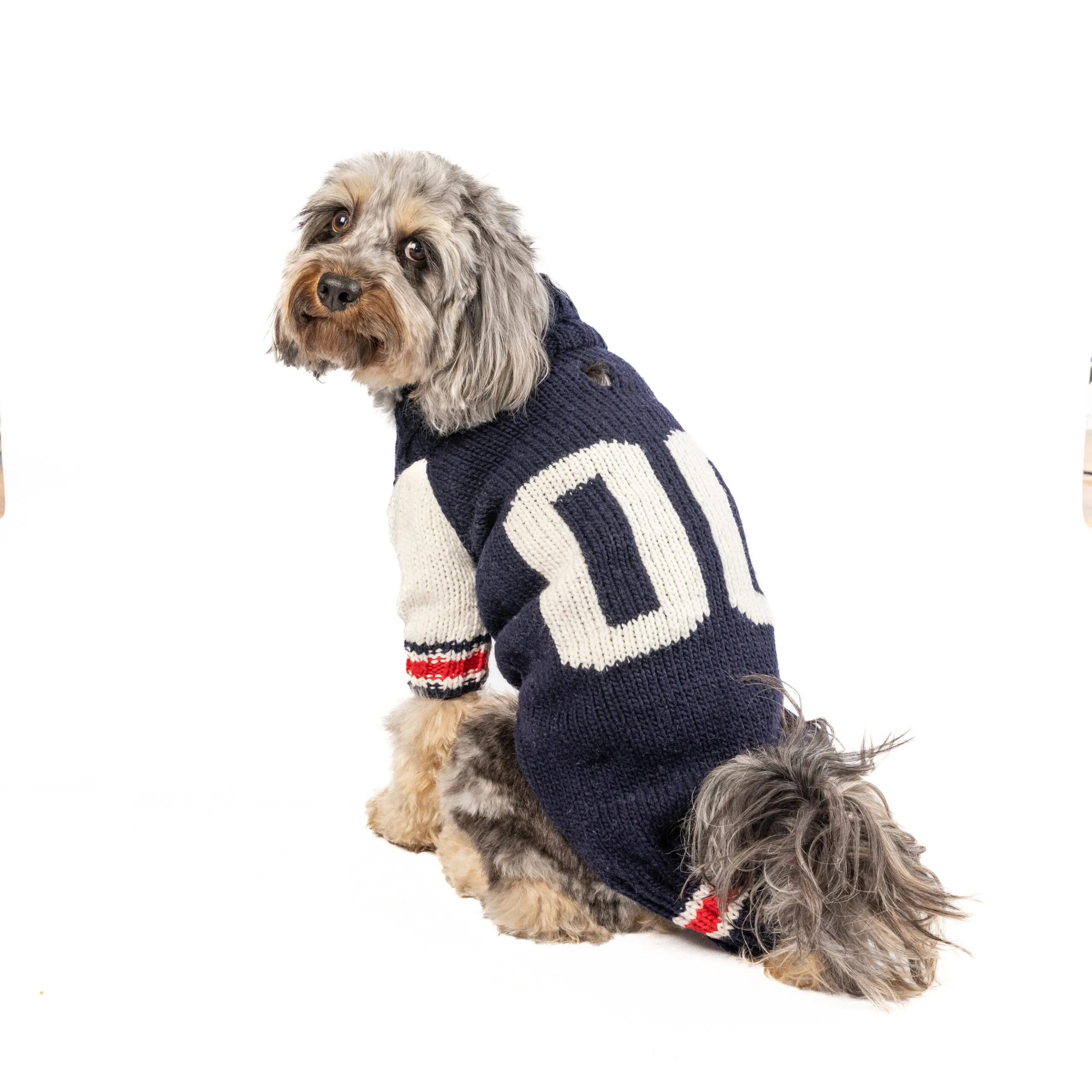 varsity knit sweater